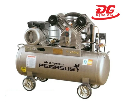 Hình ảnh sản phẩm Máy nén khí Pegasus TM-W-1.0/8-500L