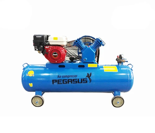 Máy nén khí đầu nổ chạy xăng Pegasus TM-V-0.25/8-100L 4