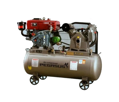 Máy nén khí chạy dầu Pegasus TM-W-1.6/8-500L 3