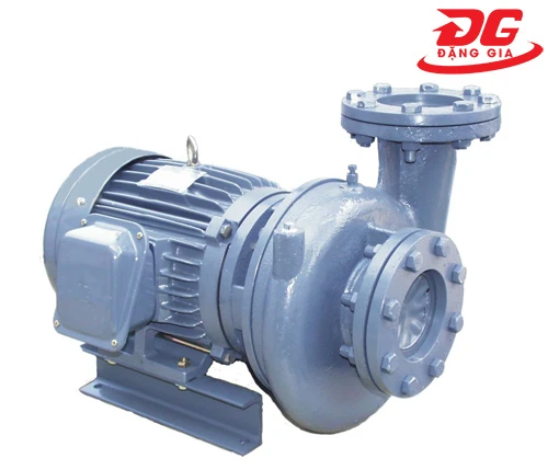 Hình ảnh sản phẩm Máy bơm nước ly tâm Teco đầu gang 3HP HVP350-12.2 20