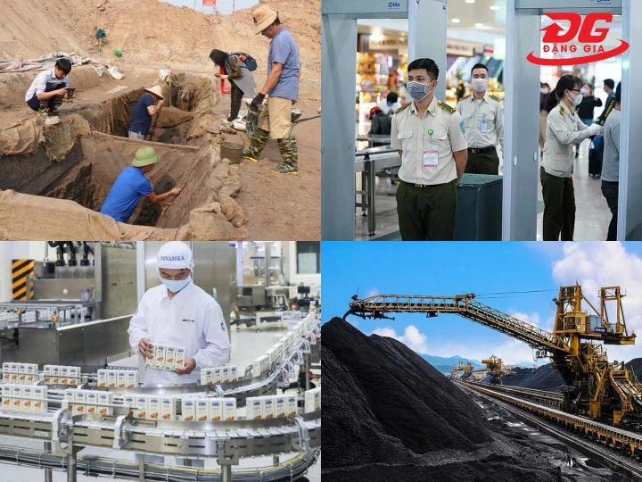 Ứng dụng của máy rà tìm kim loại