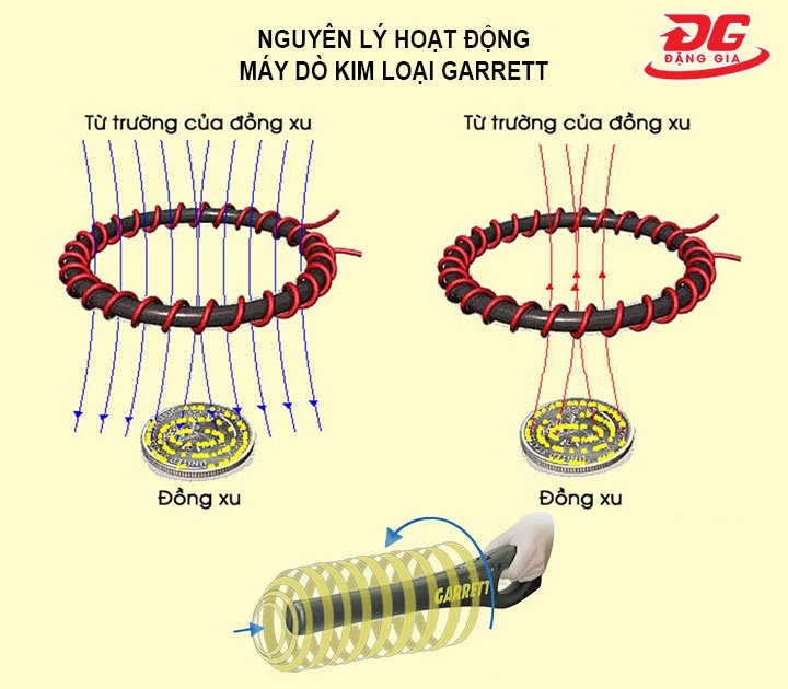 nguyên lý vận hành của máy dò kim loại Garrett