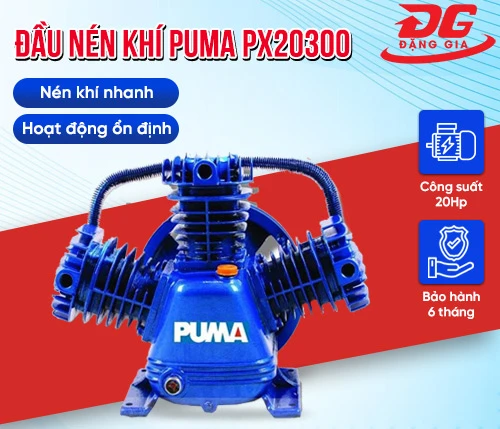 Đầu nén khí Puma PX20300 (20HP) 2