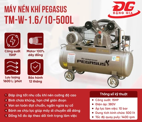 Máy nén khí Pegasus TM-W-1.6/10-500L 2