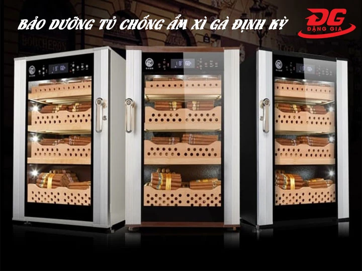 tủ giữ ẩm xì gà