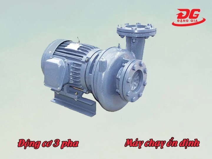 máy bơm nước ly tâm Teco HVP350-12.2 20 3HP 3 pha