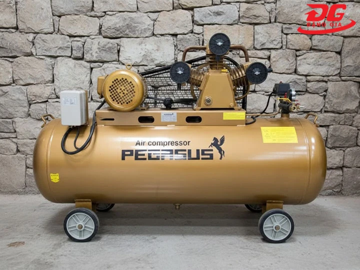 hình ảnh Máy nén khí chạy dầu Pegasus TM W 1.6 12 5 500L