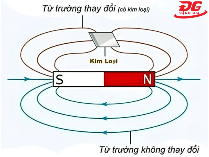 ứng dụng máy dò tìm kim loại trong thực tế
