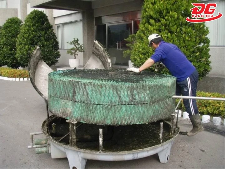 khối đệm tháp giải nhiệt bị rong rêu