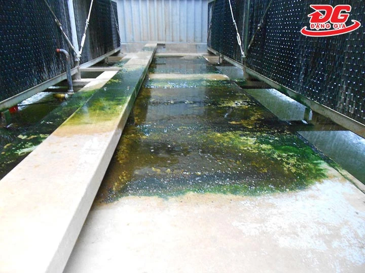 tháp giải nhiệt nhiều rong rêu