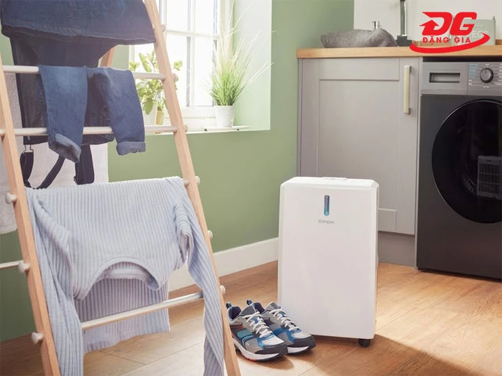 Cách phơi giày thể thao nhanh khô trong phòng dùng máy hút ẩm
