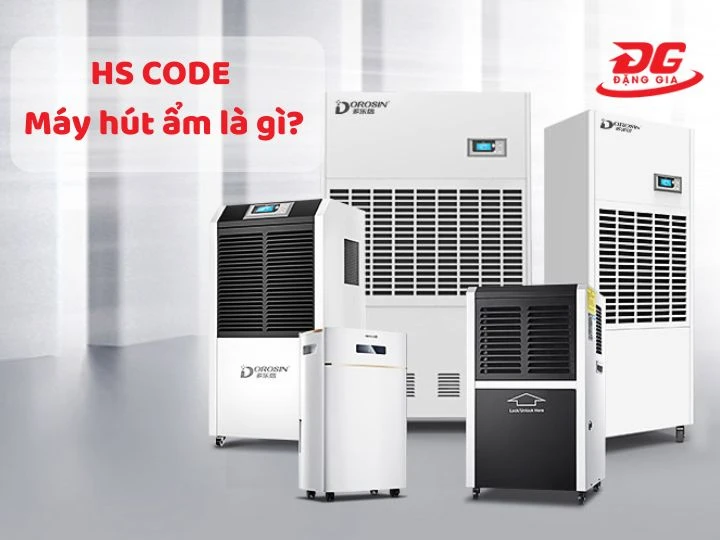 HS Code máy hút ẩm