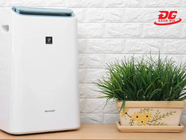 Máy hút ẩm 3 in 1 tích hợp nhiều tính năng tiện ích