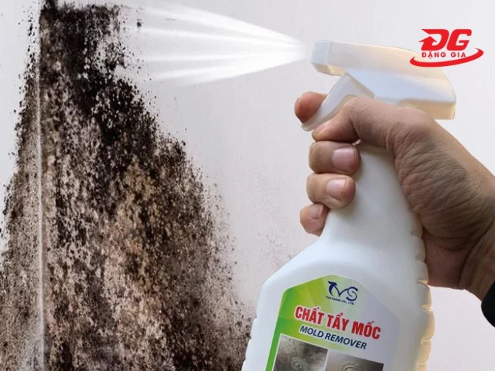 Sử dụng dung dịch chuyên dụng để khử mùi ẩm mốc