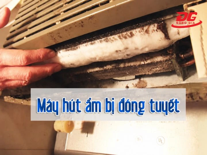máy hút ẩm bị đóng tuyết sẽ làm giản tuổi thọ của thiết bị