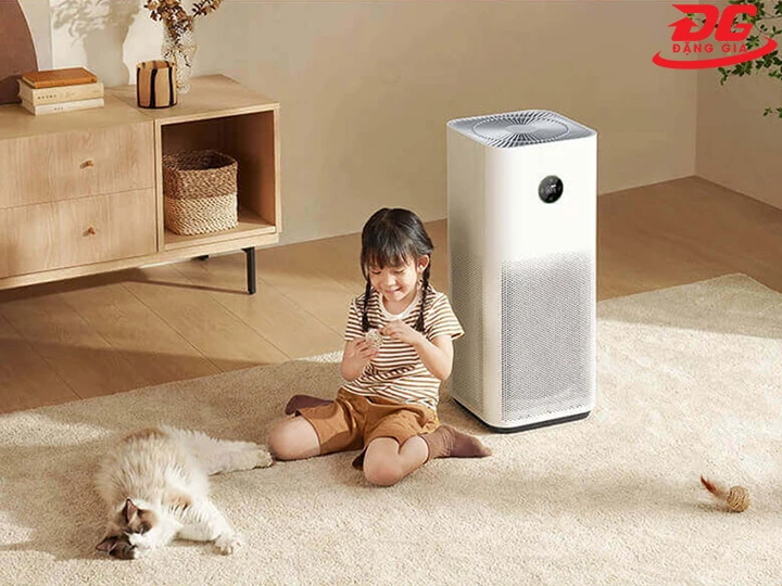 hòa nhập với mọi không gian