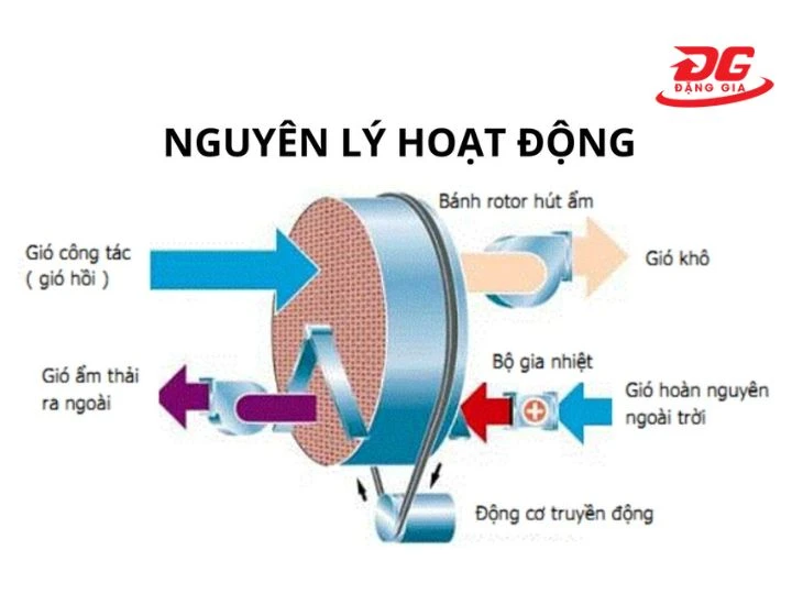 nguyên lý hoạt động của máy hút hơi ẩm rotor