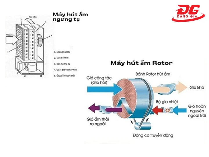 máy hút ẩm ngưng tụ và rotor