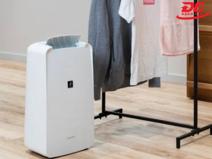 đặt máy hút ẩm dưới giá phơi quần áo