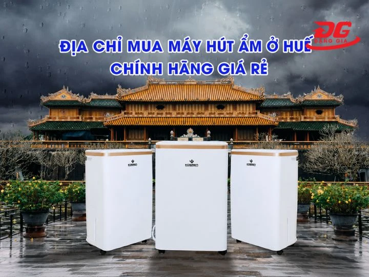 TOP 5+ máy hút ẩm ở Huế giá rẻ, đáng mua nhất