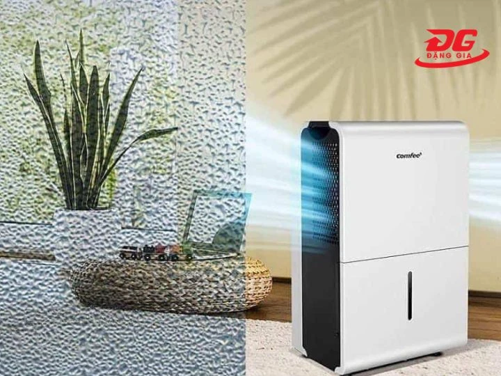 Máy hút ẩm 50l chống ẩm hiệu quả