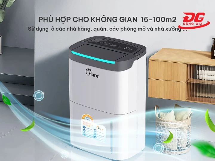 Máy hút ẩm 50L: Top 5 model đứng đầu chất lượng, nên mua