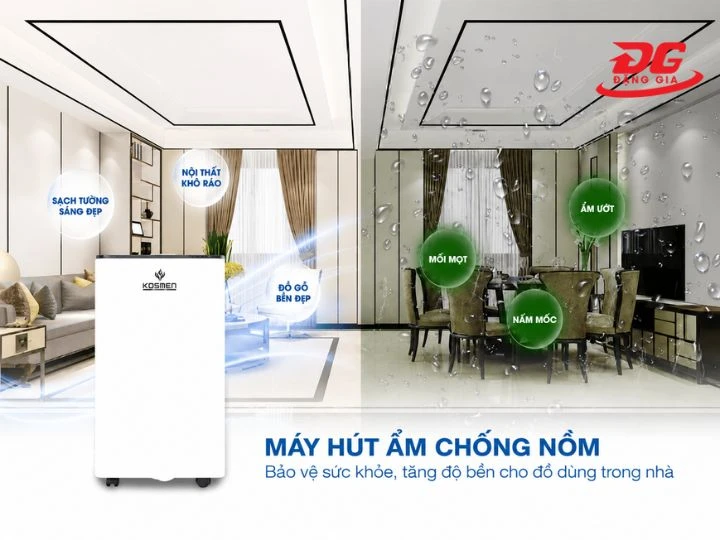 Máy hút ẩm giúp duy trì độ ẩm ở mức tốt nhất