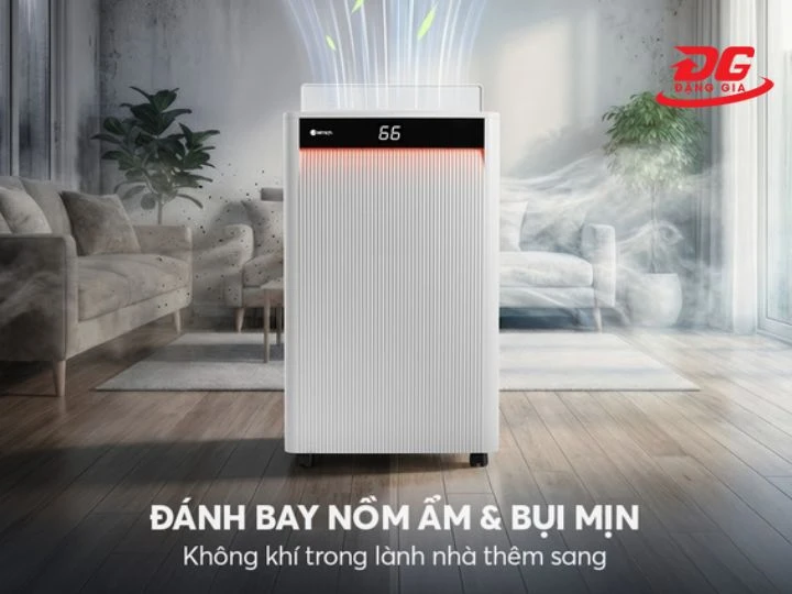 Thiết kế hiện đại đánh bay nồm ẩm