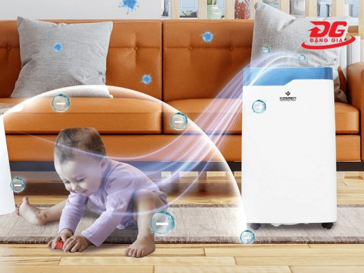 Máy hút ẩm không khí ngăn ngừa nấm mốc phát triển